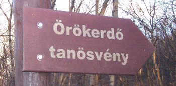 Ökörerdő