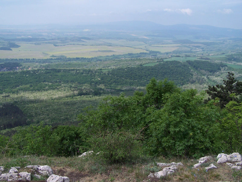A látvány