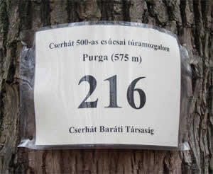 A csúcs