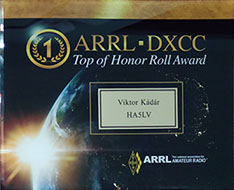 Top of Honor Roll Award