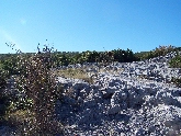 köves